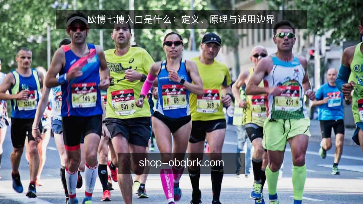 欧博七博入口是什么：定义、原理与适用边界