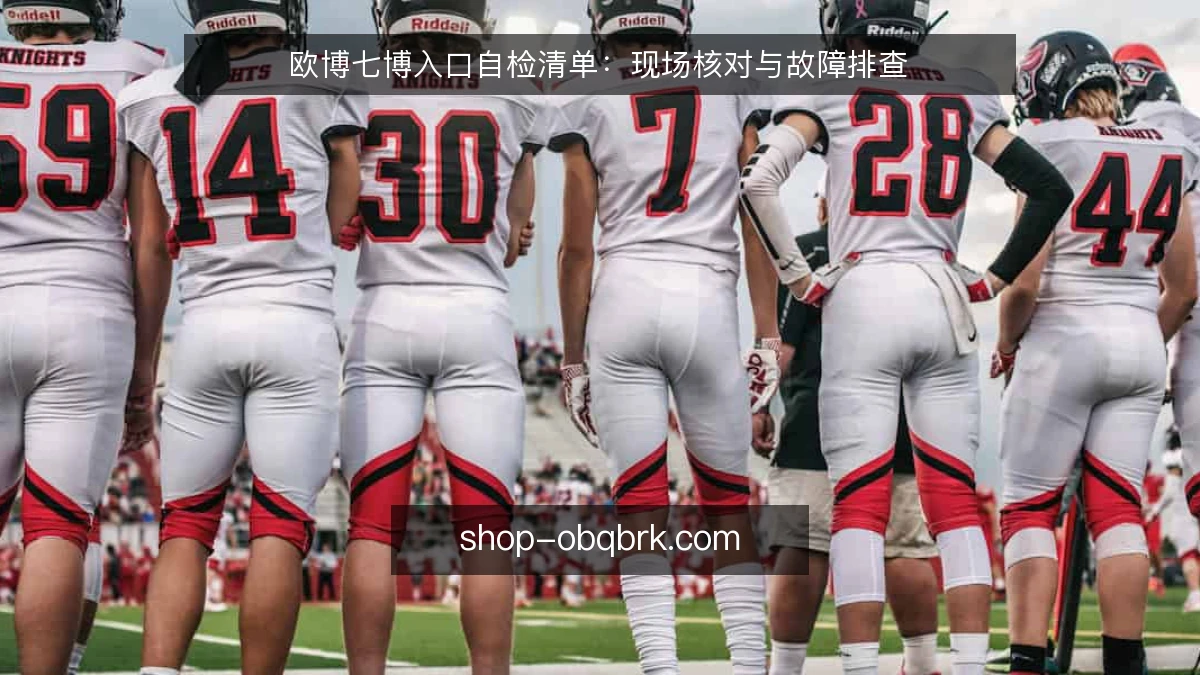 欧博七博入口自检清单：现场核对与故障排查
