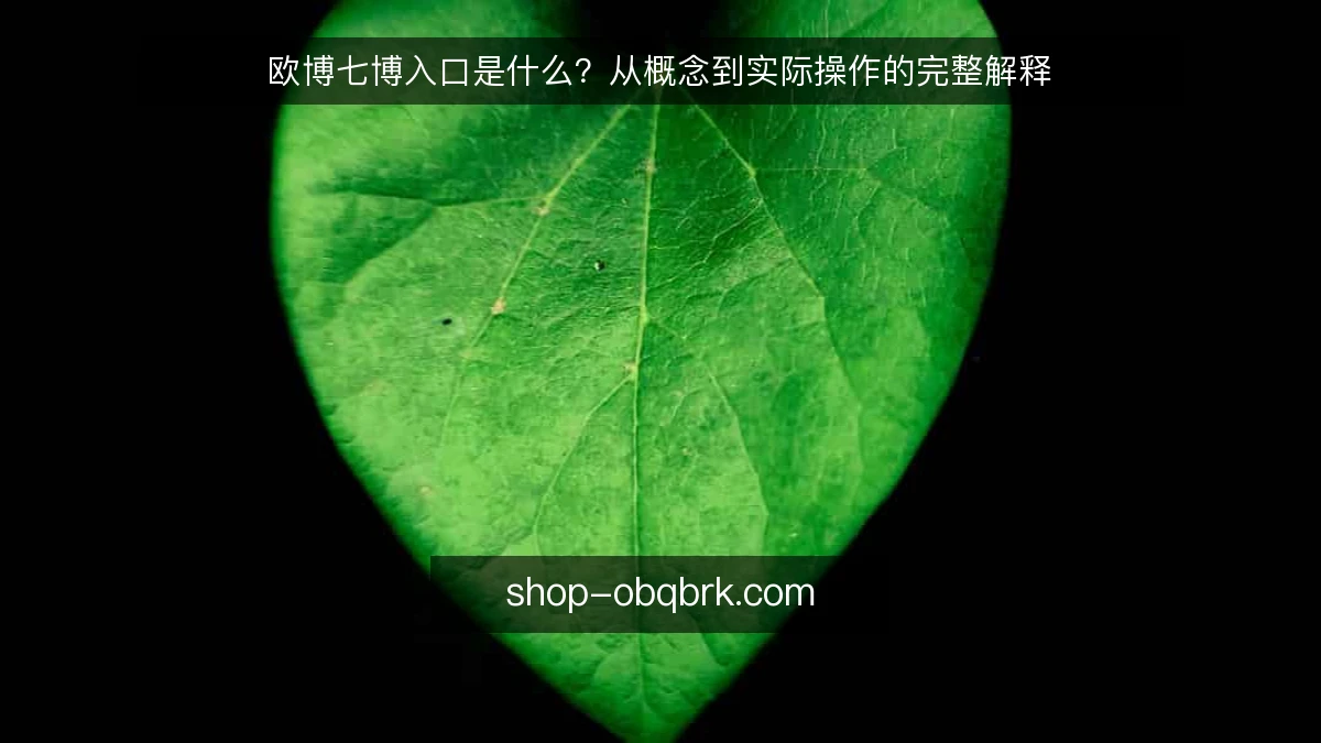 欧博七博入口是什么?从概念到实际操作的完整解释