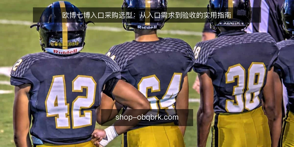 欧博七博入口采购选型:从入口需求到验收的实用指南 — 入口需求界定:先厘清使用场景与访问目标 配图