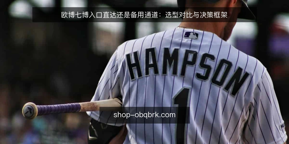 欧博七博入口直达还是备用通道:选型对比与决策框架 — 明确接入需求与使用边界 配图