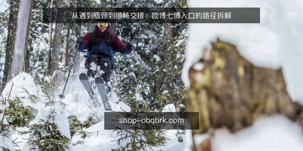 从遇到瓶颈到顺畅交接:欧博七博入口的路径拆解 — 现场卡在哪:入口问题往往不是技术问题 配图